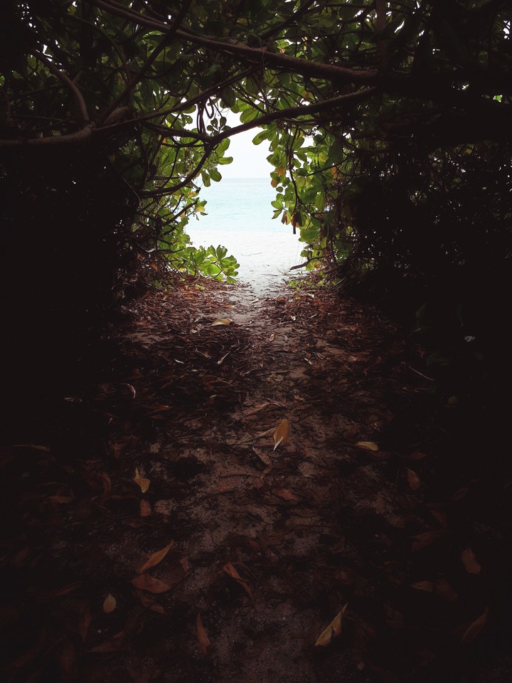 secret beach