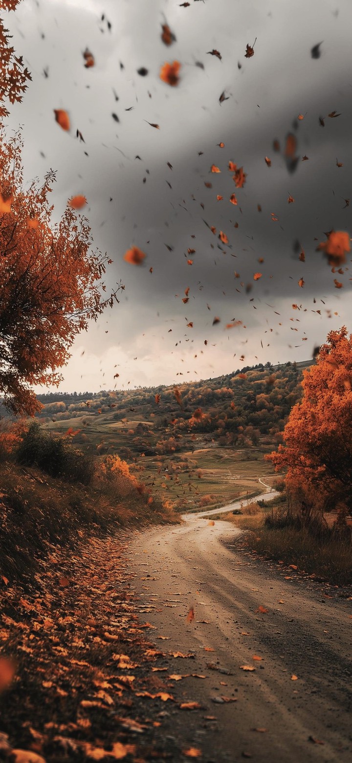 LEAVES IN THE WIND
