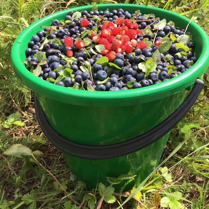 вкусняшка