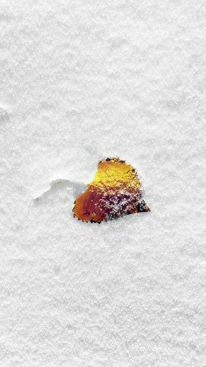 It comes in the snow......