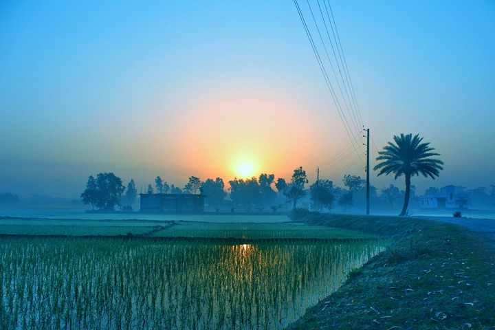 Sunrise