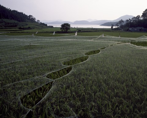 Asia