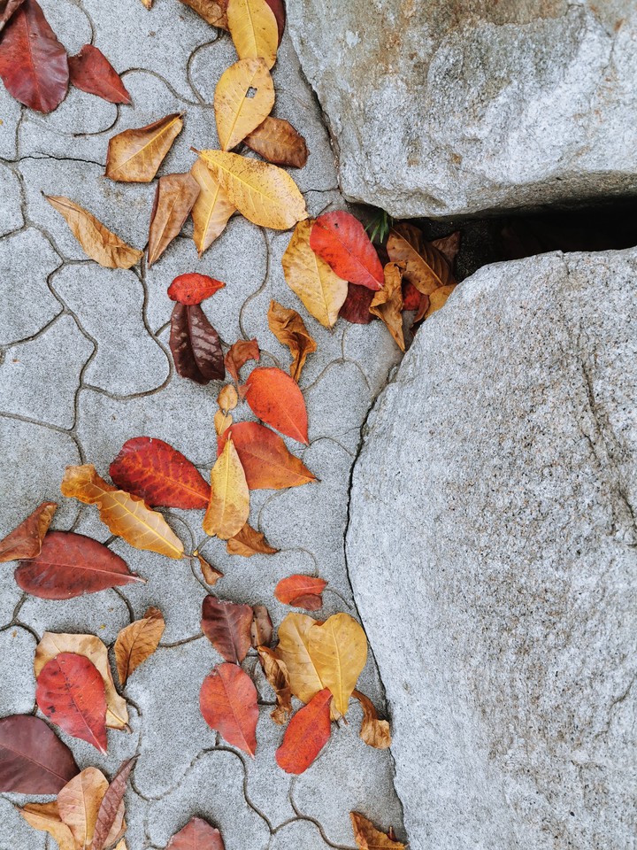 Fall