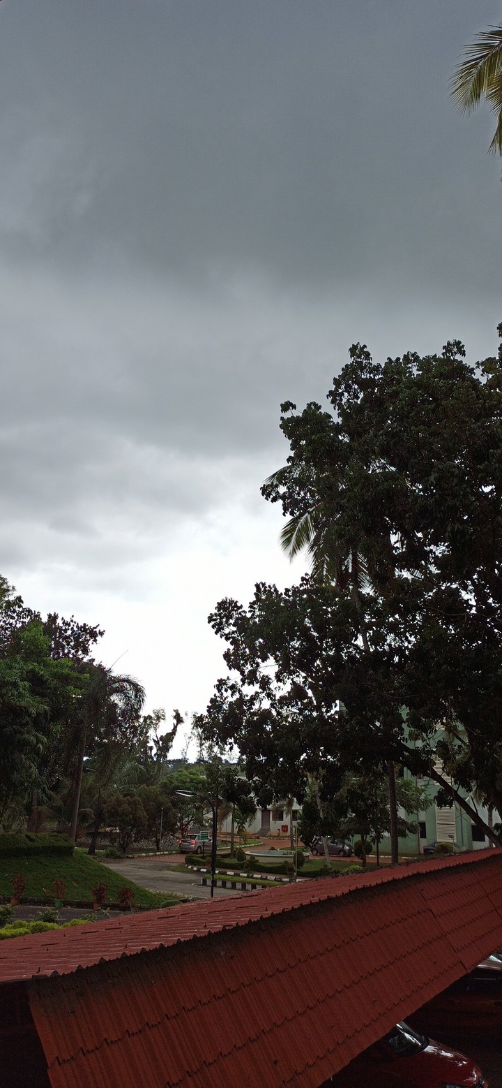 Just before Rain