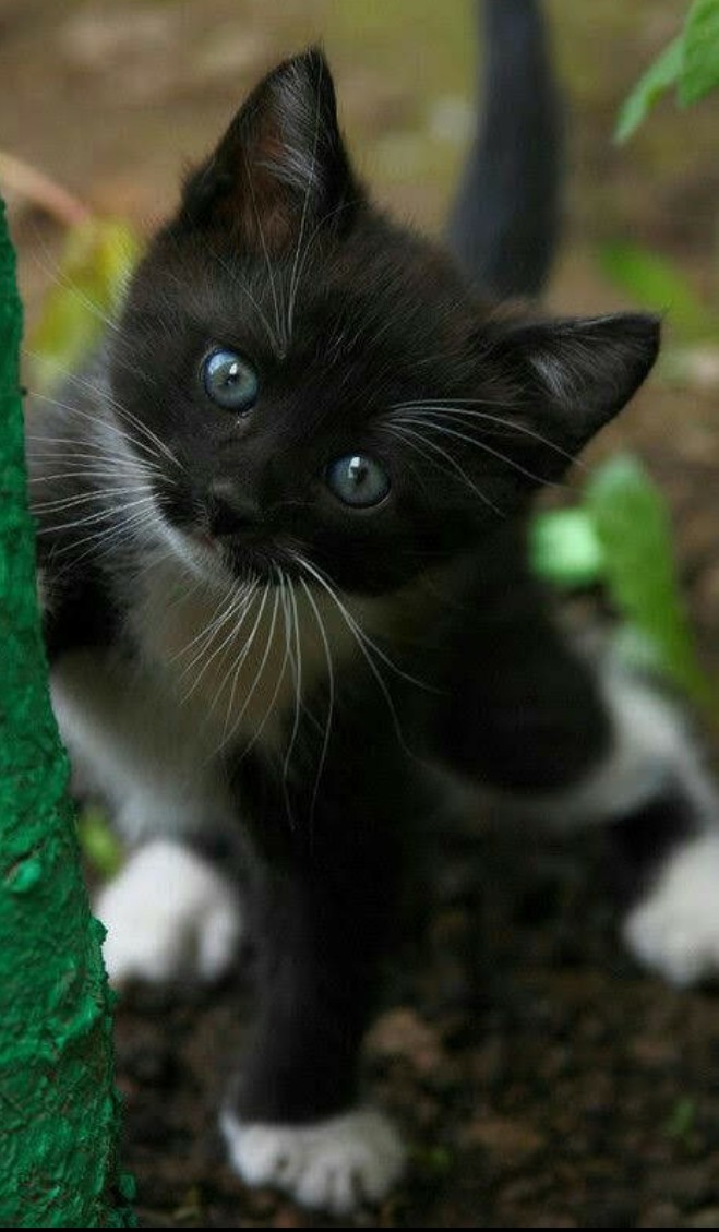 ❤❤❤
