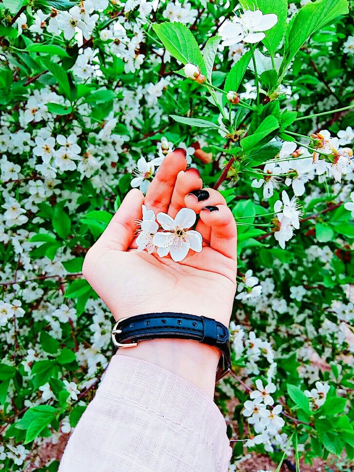 my hand