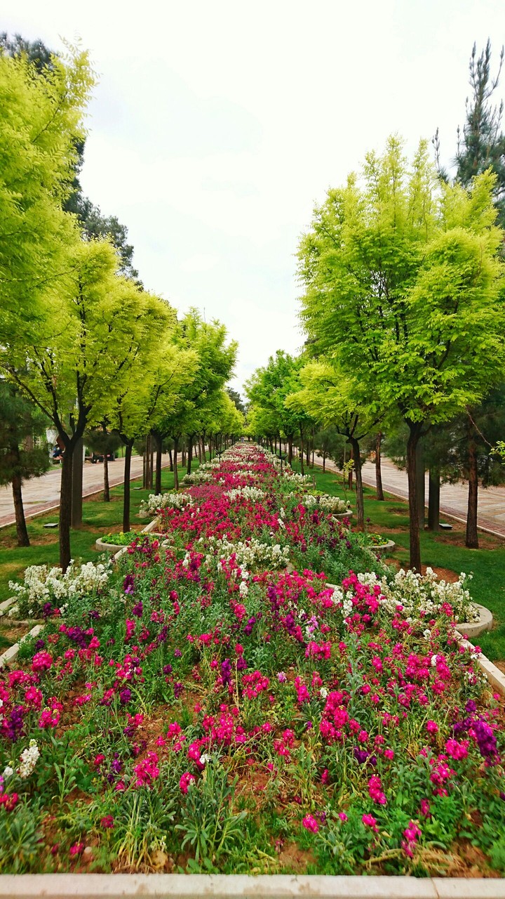 Janat garden