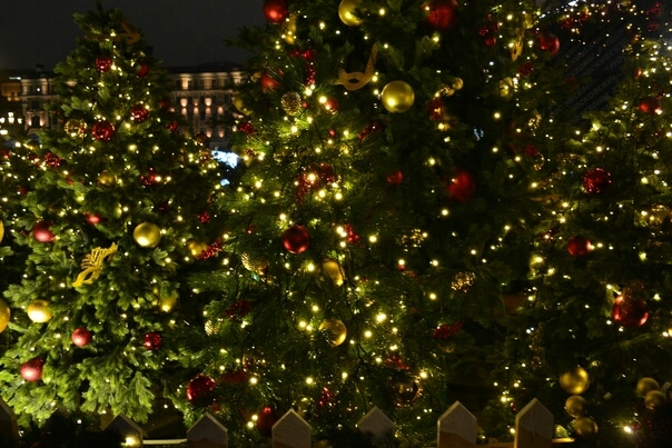 Christmas tree