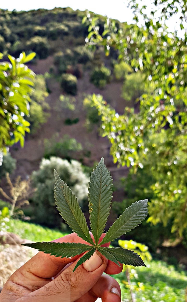 ktama. maroc