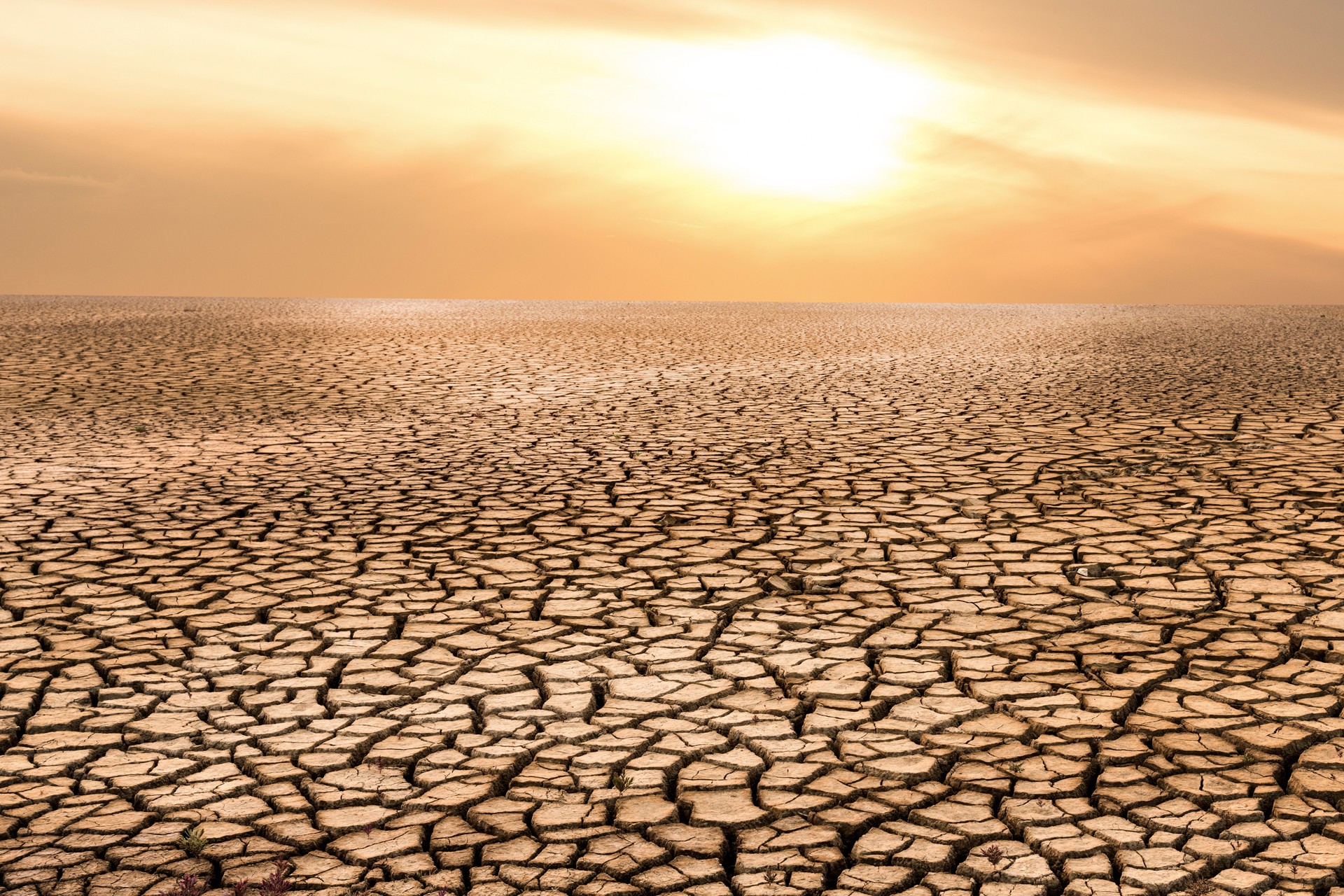 Drought