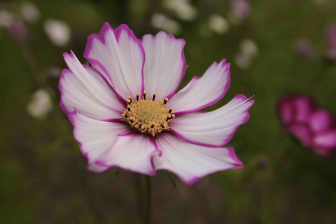 one