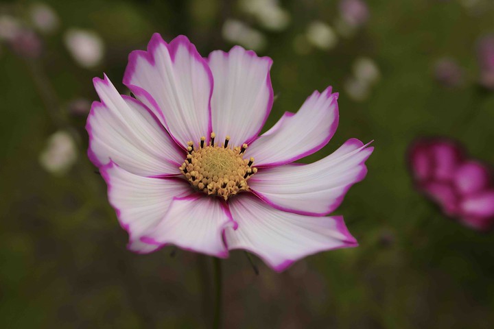 one