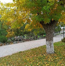 осень