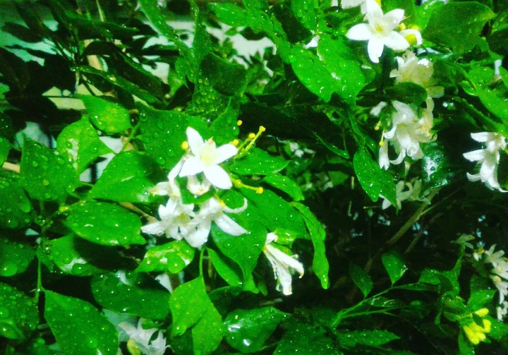 In the ☔
