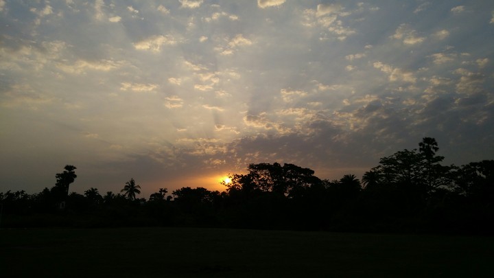 fresh morning