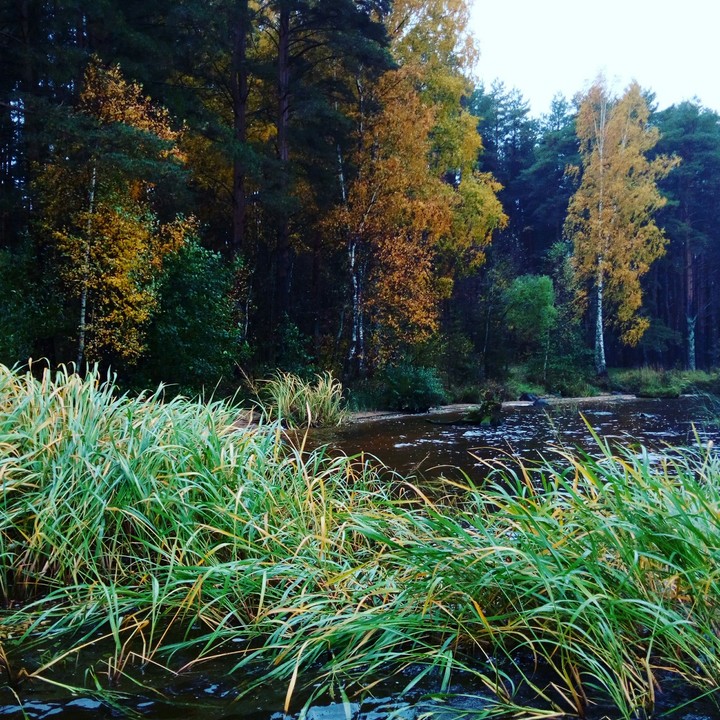 river