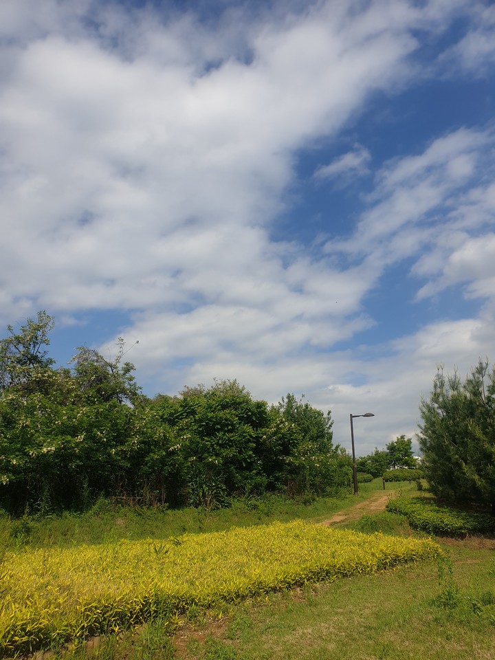 sky