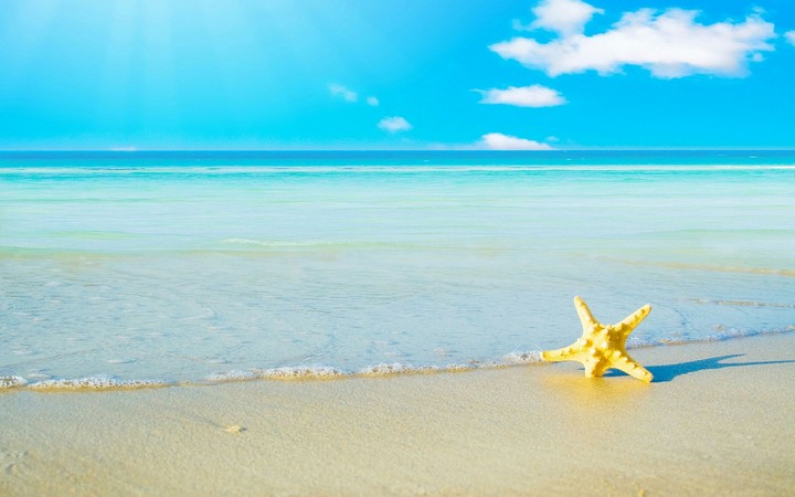 star in water