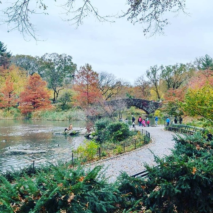 park