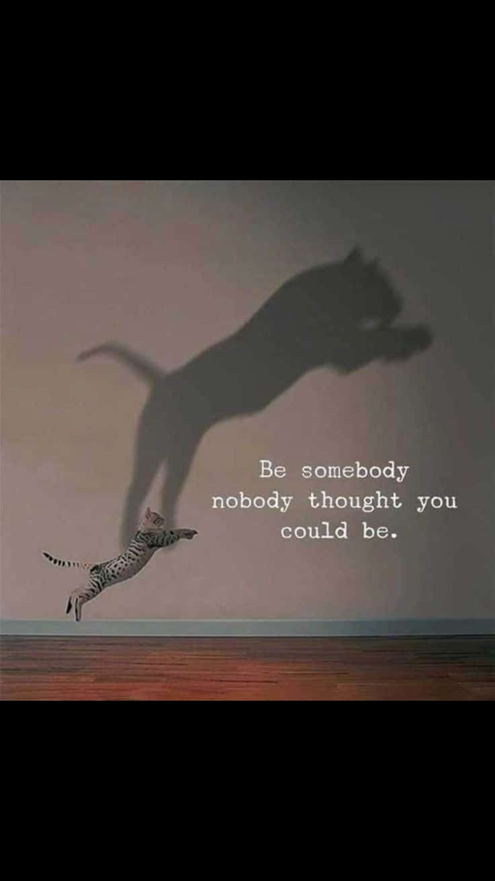 Never be afraid.