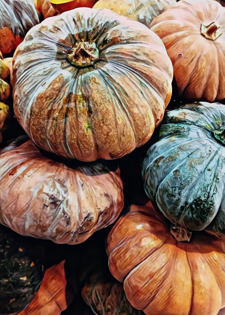 pumpkin