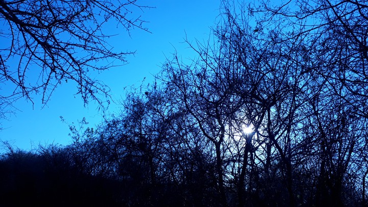 amanhecer Florescente