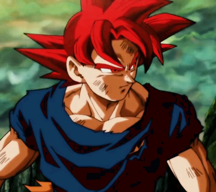 SUPER SAIYAN GOD