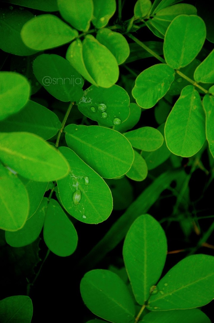 a little rain