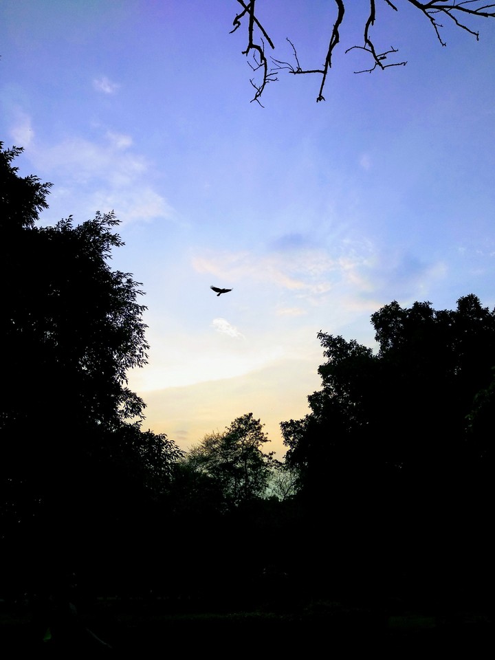 Evening