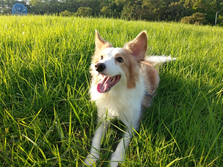 mimi
