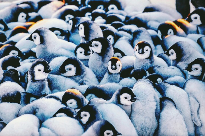 Look for warmth