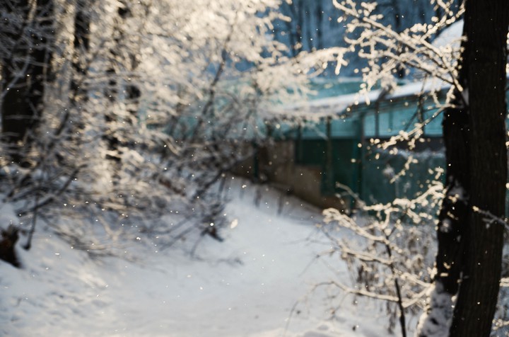 winter