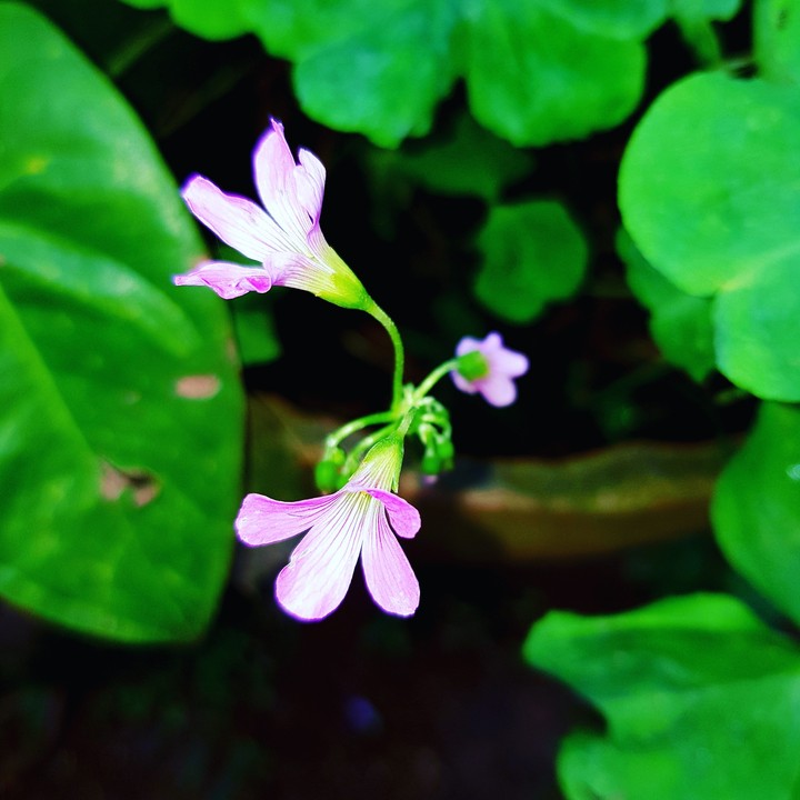 my photography