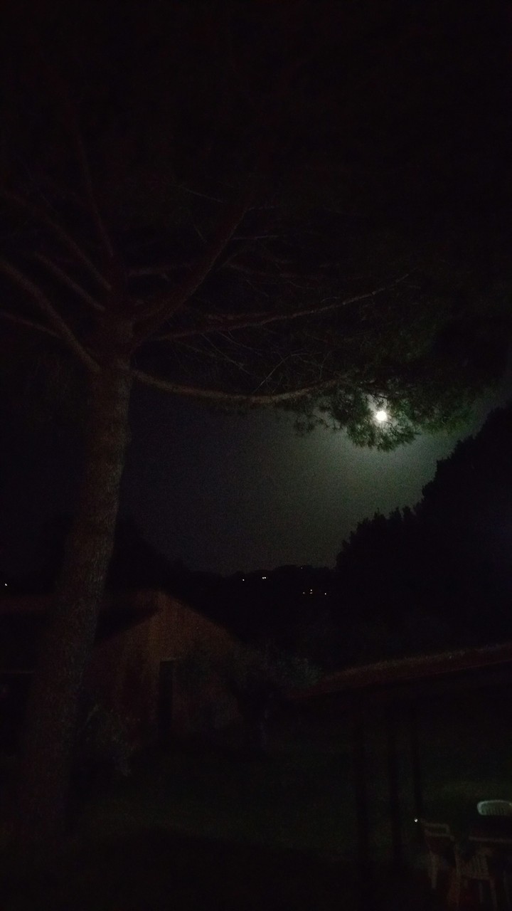 Moon