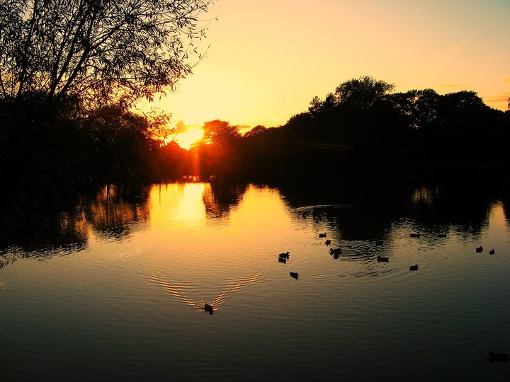 sunrise