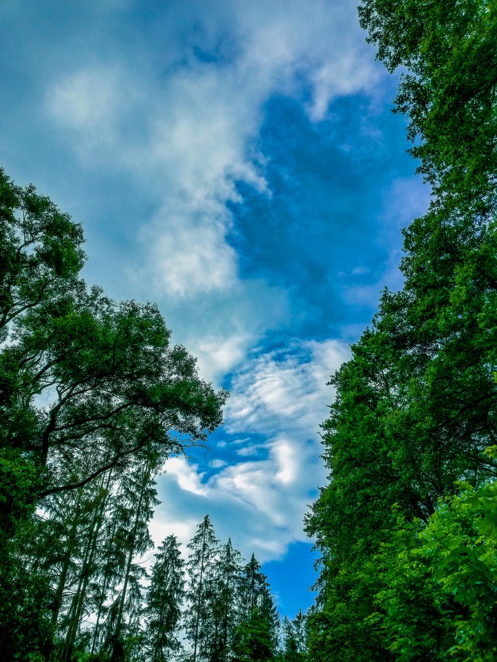Sky