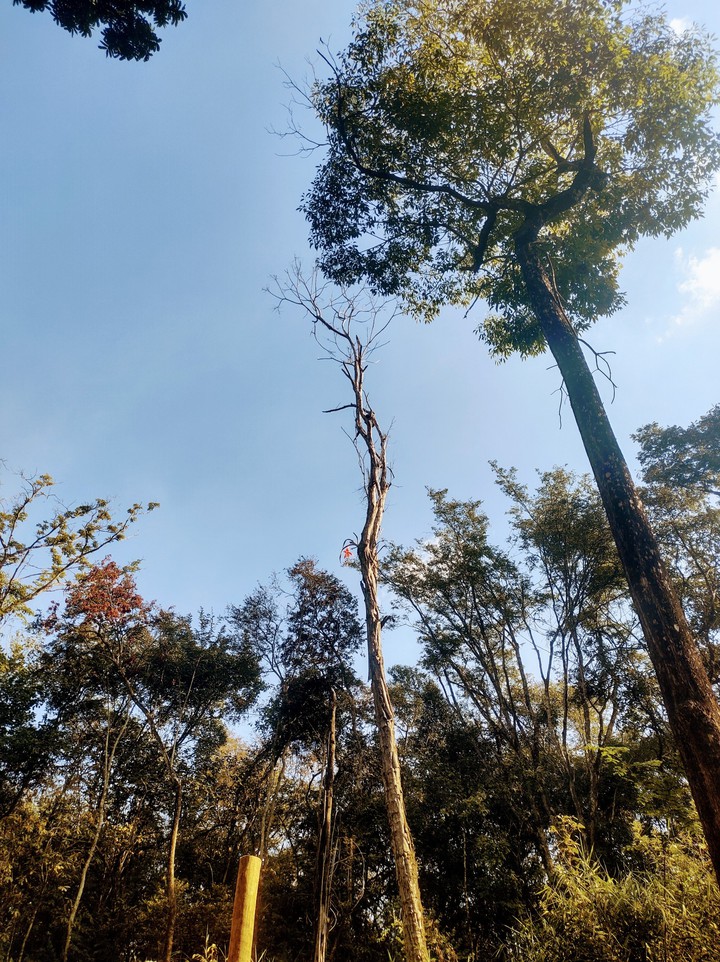 natureza