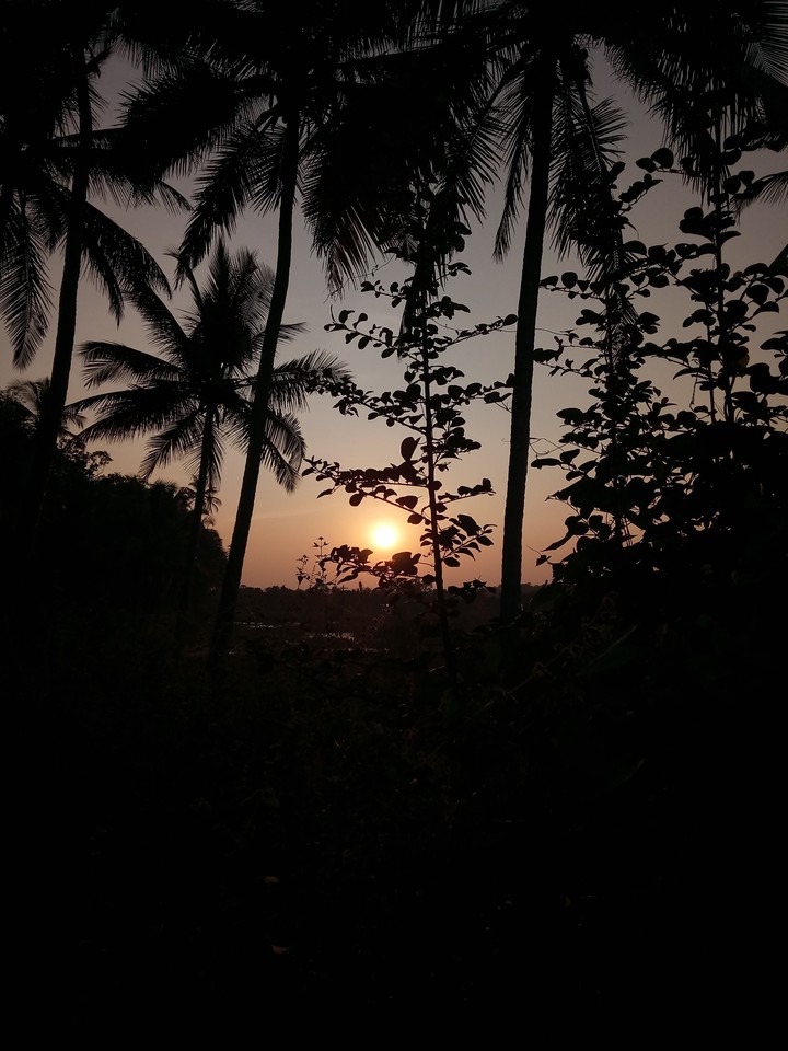 Good Evening