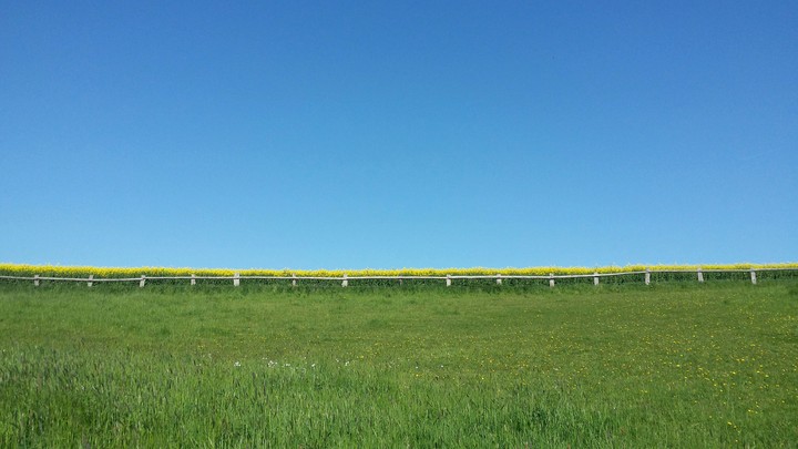 Blue green and yellow