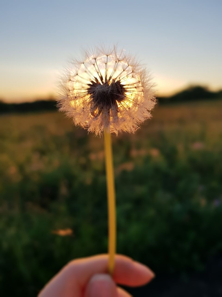 Summer ?
