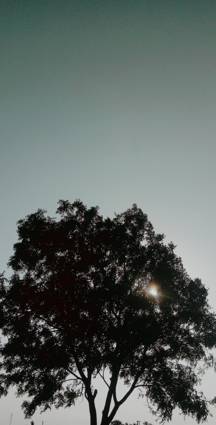 zad