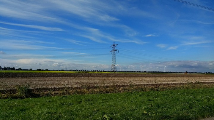 Field