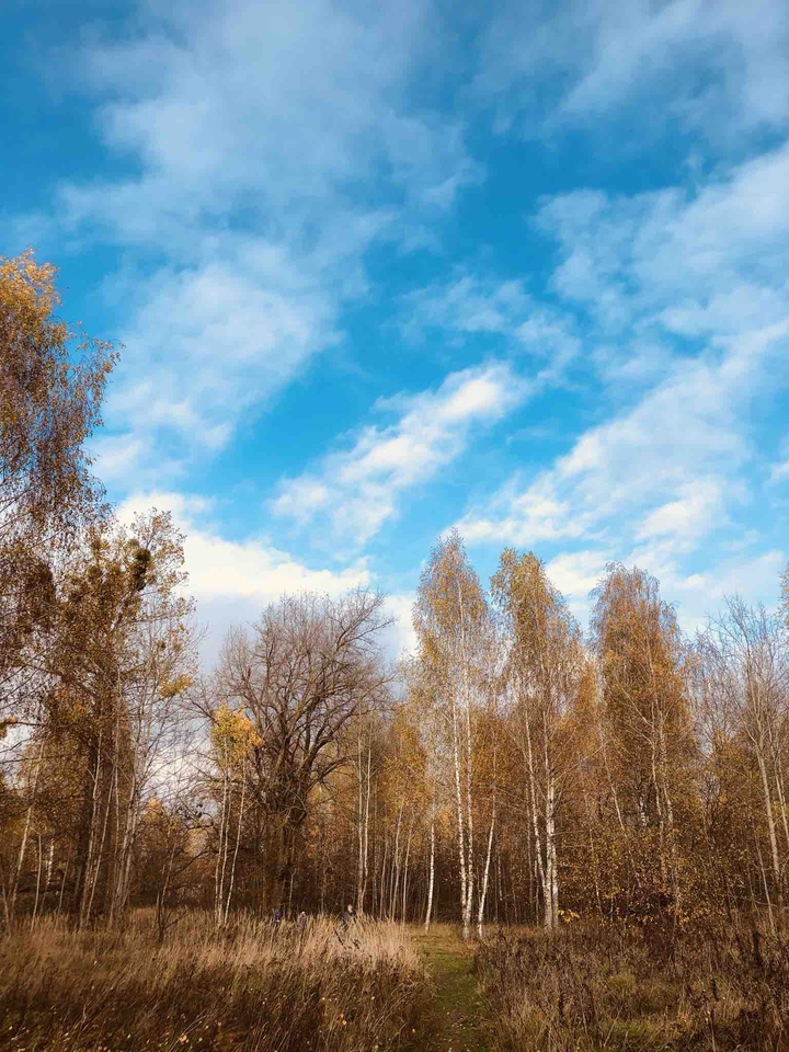 Autumn