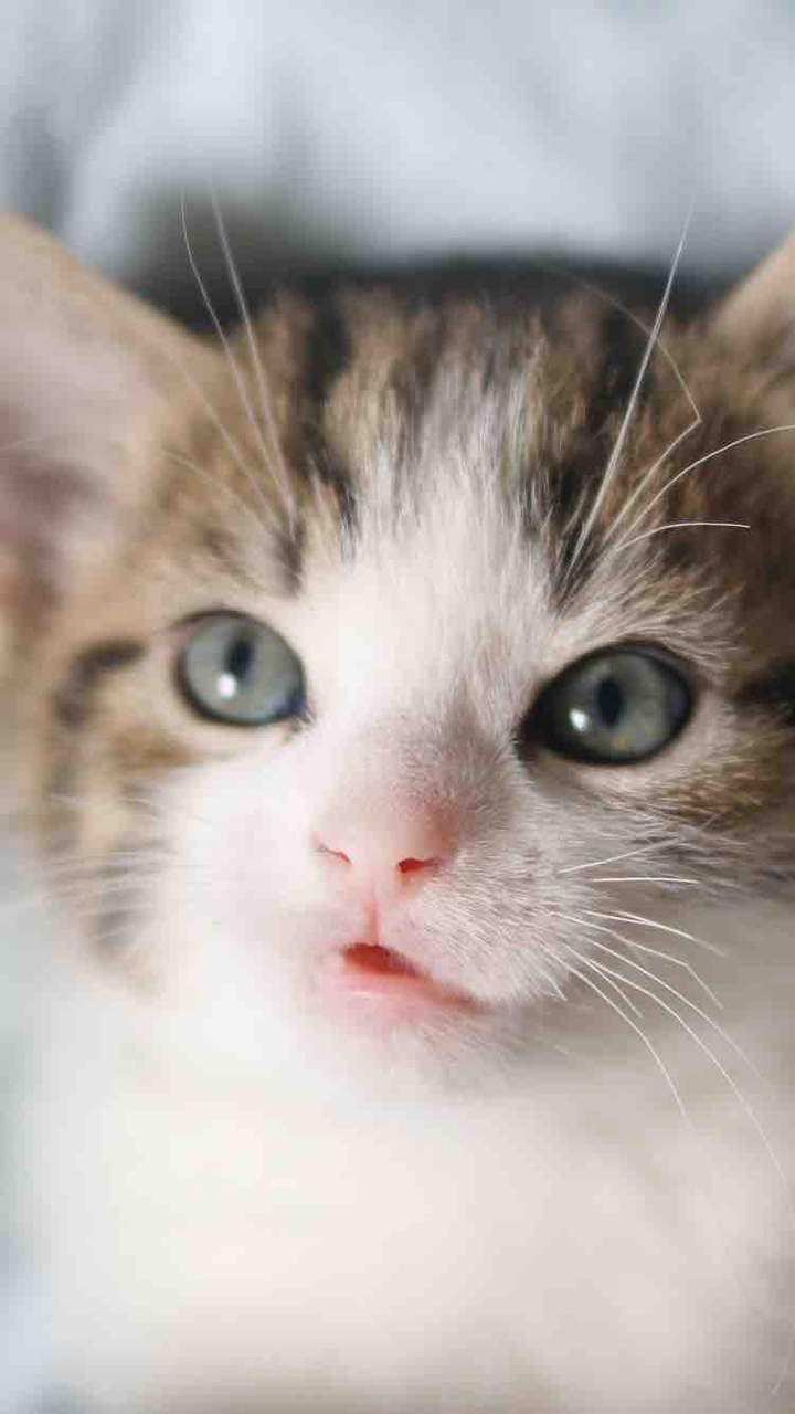 ㅃ