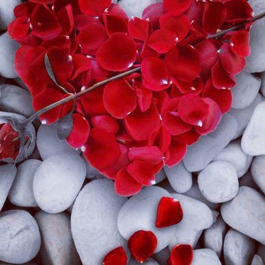 heart?❤ love