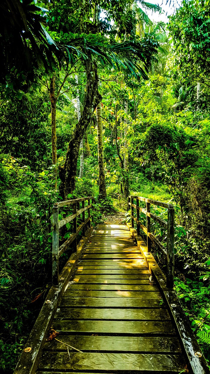 Green is Life