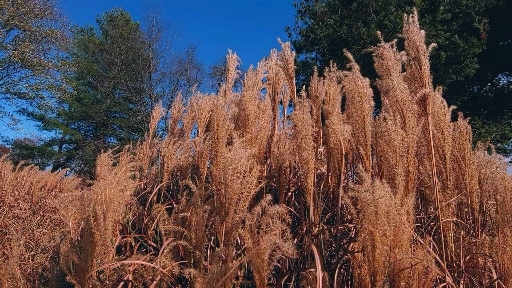 35° and blue sky