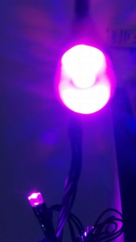 phonephotography