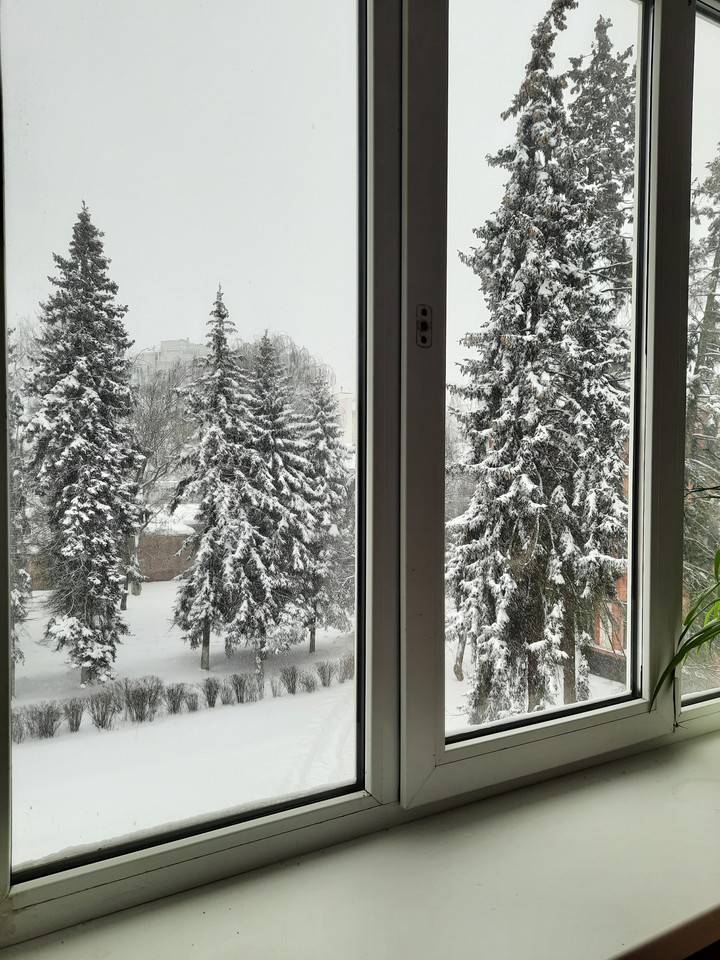 Winter