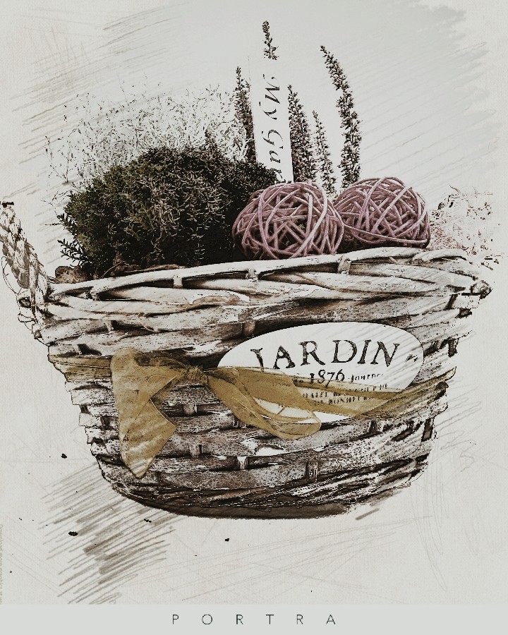 mini garden